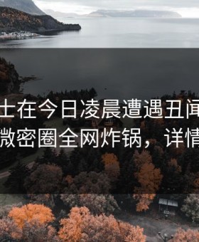 业内人士在今日凌晨遭遇丑闻争议四起，微密圈全网炸锅，详情揭秘