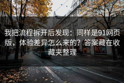 我把流程拆开后发现：同样是91网页版，体验差异怎么来的？答案藏在收藏夹整理