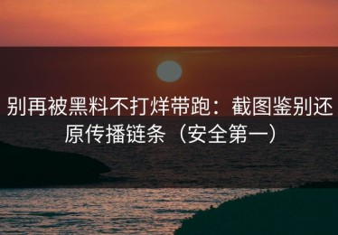别再被黑料不打烊带跑：截图鉴别还原传播链条（安全第一）