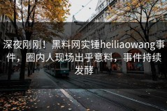 深夜刚刚！黑料网实锤heiliaowang事件，圈内人现场出乎意料，事件持续发酵