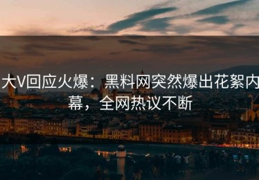 大V回应火爆：黑料网突然爆出花絮内幕，全网热议不断