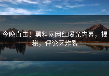 今晚直击！黑料网网红曝光内幕，揭秘，评论区炸裂