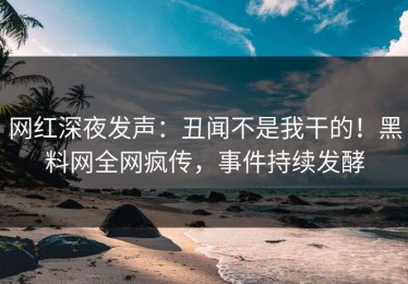 网红深夜发声：丑闻不是我干的！黑料网全网疯传，事件持续发酵