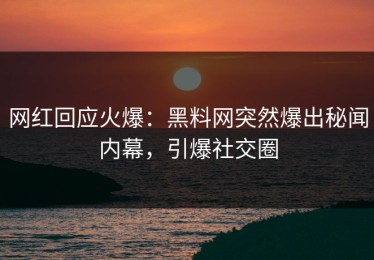 网红回应火爆：黑料网突然爆出秘闻内幕，引爆社交圈