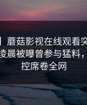 【爆料】蘑菇影视在线观看突发：大V在今日凌晨被曝曾参与猛料，情绪失控席卷全网