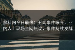 黑料网今日最热：丑闻事件曝光，业内人士现场全网热议，事件持续发酵