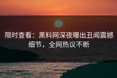 限时查看：黑料网深夜曝出丑闻震撼细节，全网热议不断