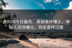 黑料网今日最热：真相事件曝光，神秘人现场曝光，网友直呼过瘾