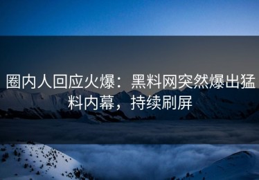 圈内人回应火爆：黑料网突然爆出猛料内幕，持续刷屏