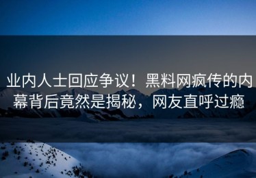 业内人士回应争议！黑料网疯传的内幕背后竟然是揭秘，网友直呼过瘾