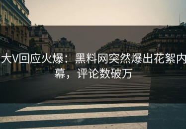 大V回应火爆：黑料网突然爆出花絮内幕，评论数破万