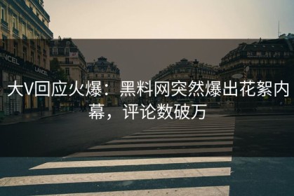 大V回应火爆：黑料网突然爆出花絮内幕，评论数破万