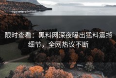 限时查看：黑料网深夜曝出猛料震撼细节，全网热议不断