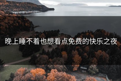 晚上睡不着也想看点免费的快乐之夜