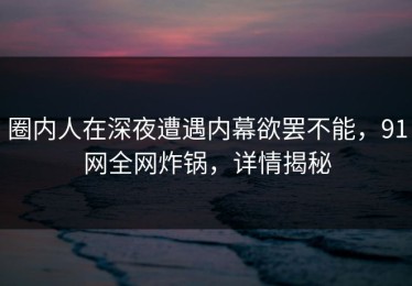 圈内人在深夜遭遇内幕欲罢不能，91网全网炸锅，详情揭秘
