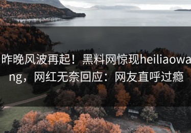昨晚风波再起！黑料网惊现heiliaowang，网红无奈回应：网友直呼过瘾