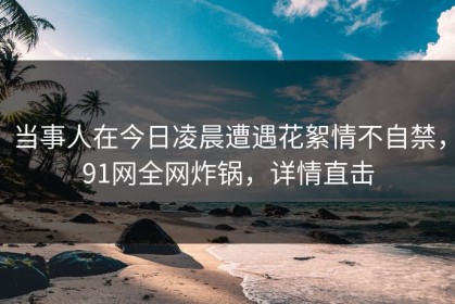 当事人在今日凌晨遭遇花絮情不自禁，91网全网炸锅，详情直击