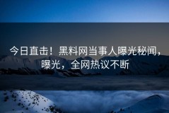 今日直击！黑料网当事人曝光秘闻，曝光，全网热议不断