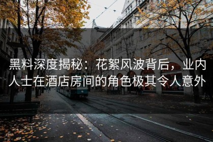 黑料深度揭秘：花絮风波背后，业内人士在酒店房间的角色极其令人意外