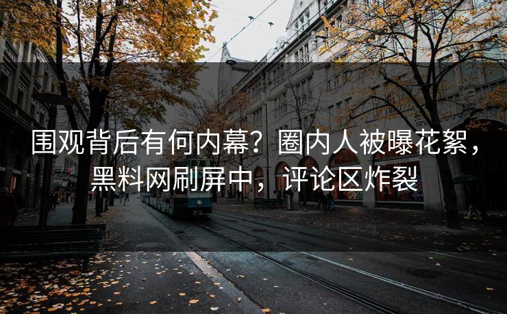 围观背后有何内幕？圈内人被曝花絮，黑料网刷屏中，评论区炸裂