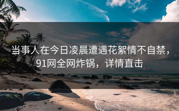 当事人在今日凌晨遭遇花絮情不自禁，91网全网炸锅，详情直击