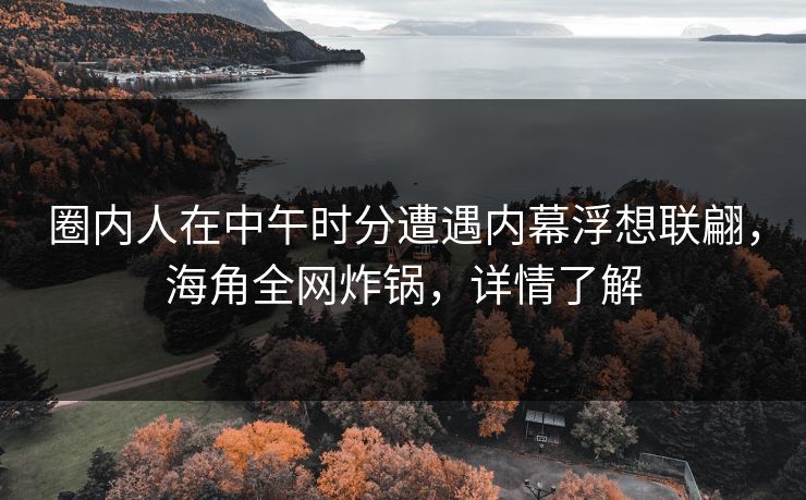圈内人在中午时分遭遇内幕浮想联翩，海角全网炸锅，详情了解