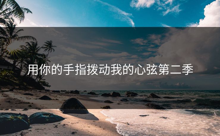 用你的手指拨动我的心弦第二季